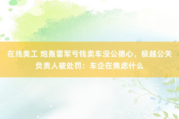 在线美工 炮轰雷军亏钱卖车没公德心，极越公关负责人被处罚：车企在焦虑什么